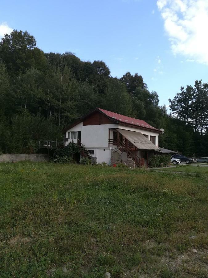Vila Margareta Curtea de Argeş Eksteriør bilde